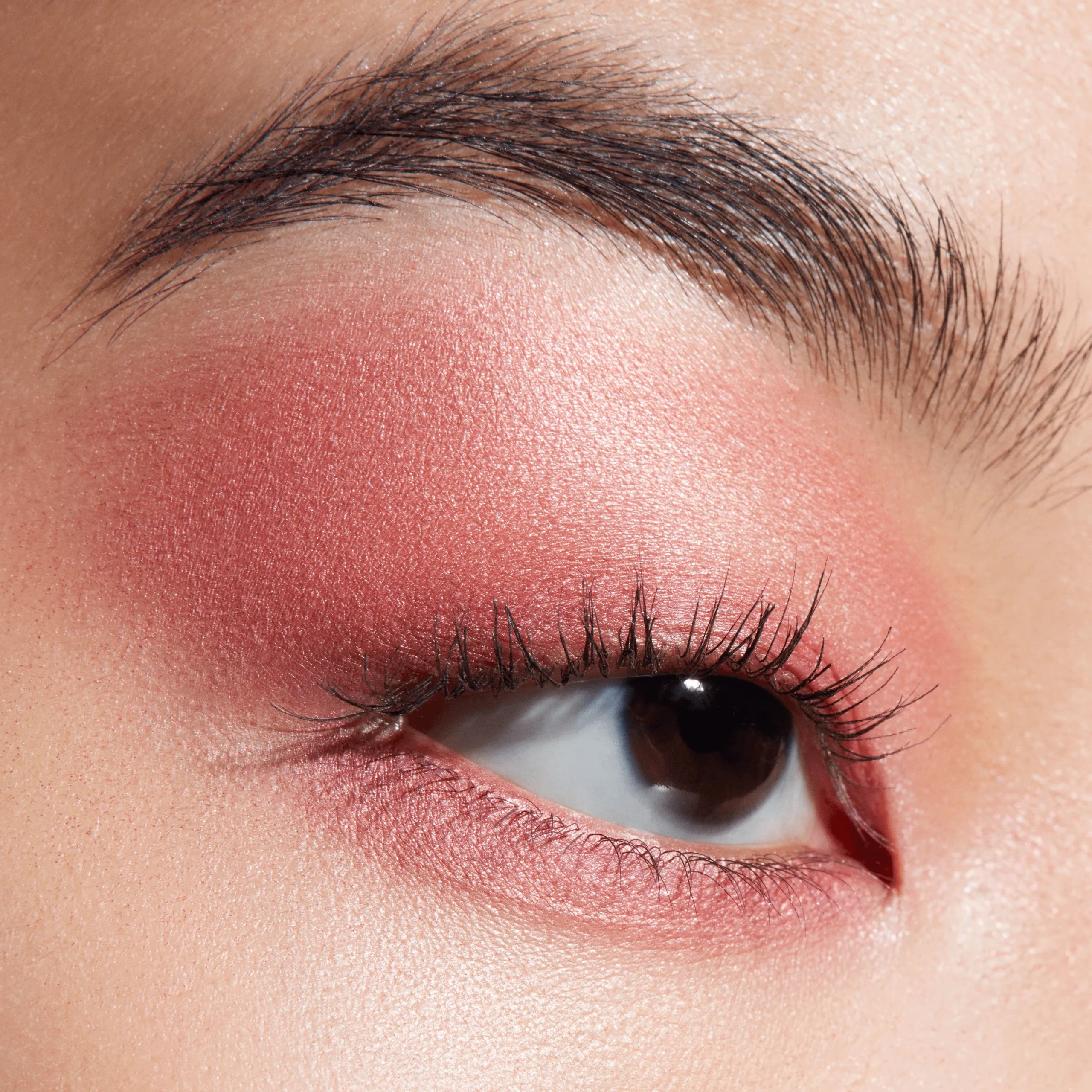 Connect In Colour Eye Shadow Palette: Rose Lens - Image 5